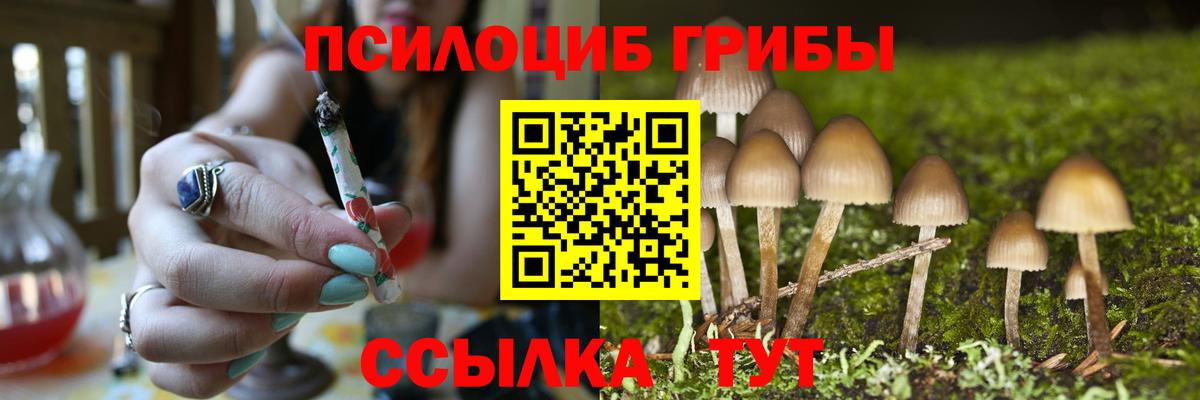 Галлюциногенные грибы GOLDEN TEACHER Темрюк